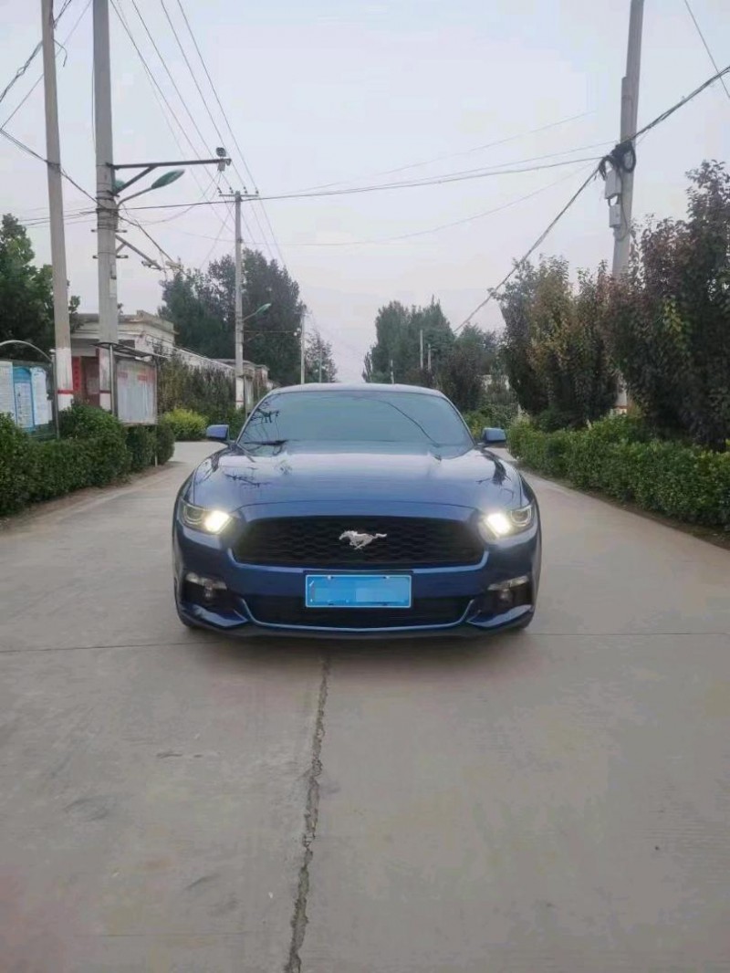 东营17年福特野马1