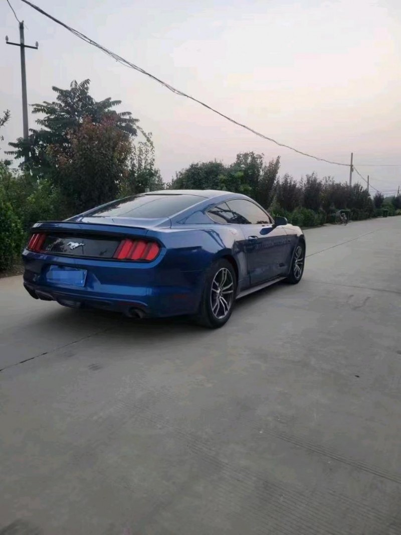 东营17年福特野马4