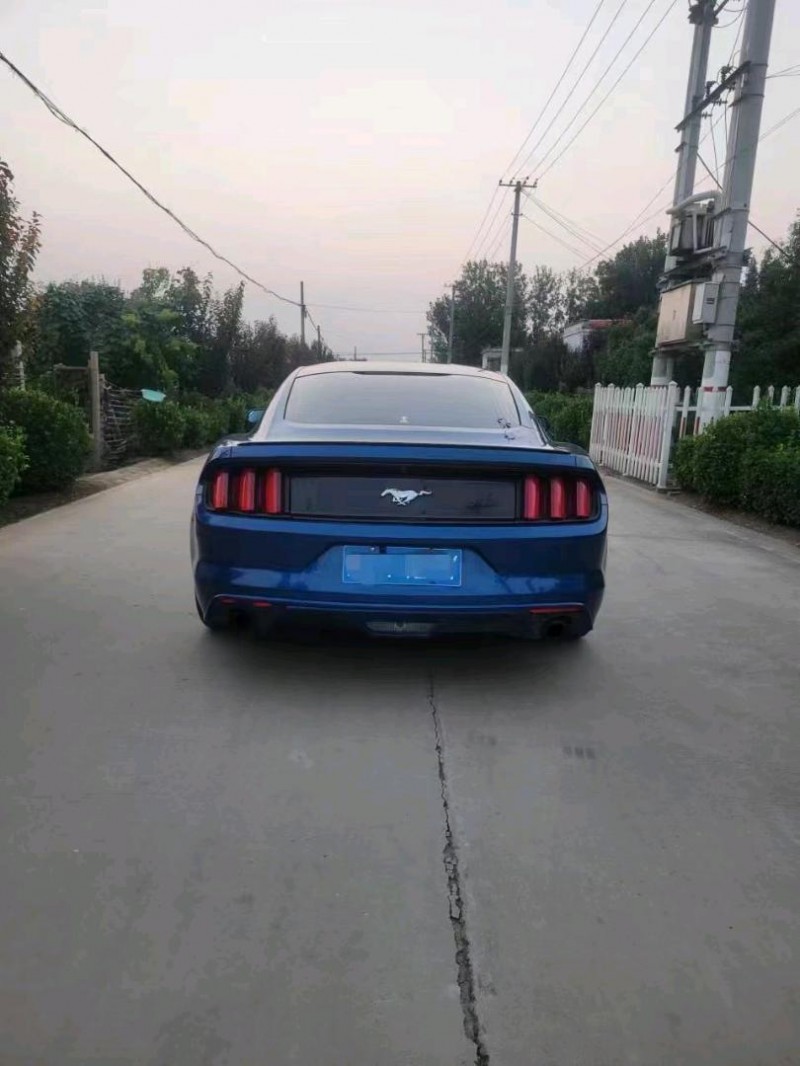 东营17年福特野马3