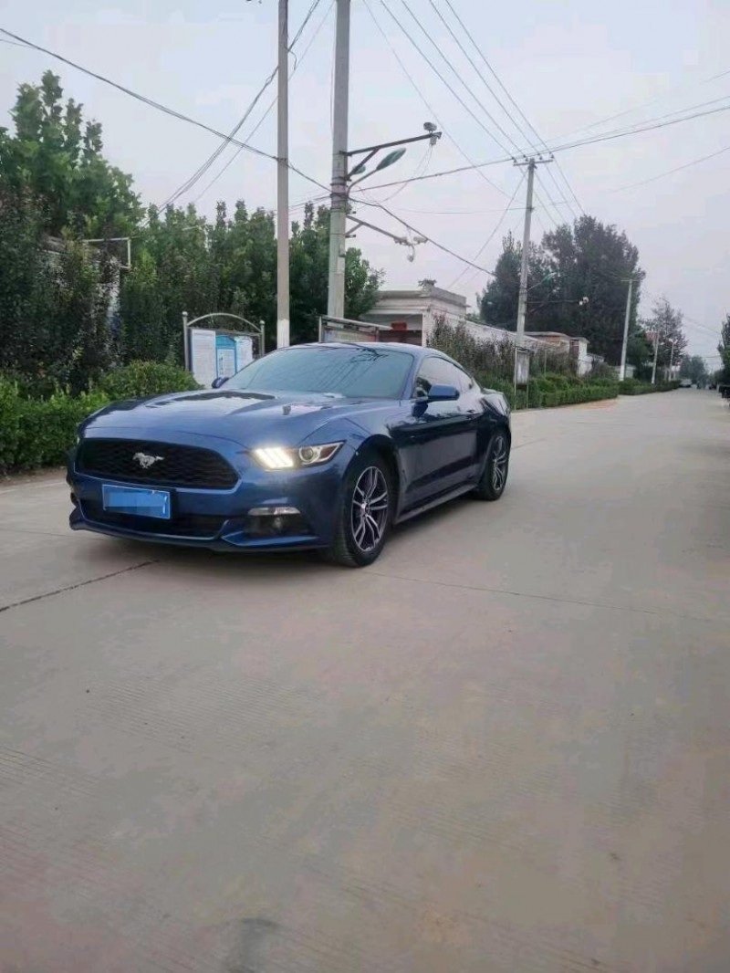 东营17年福特野马5