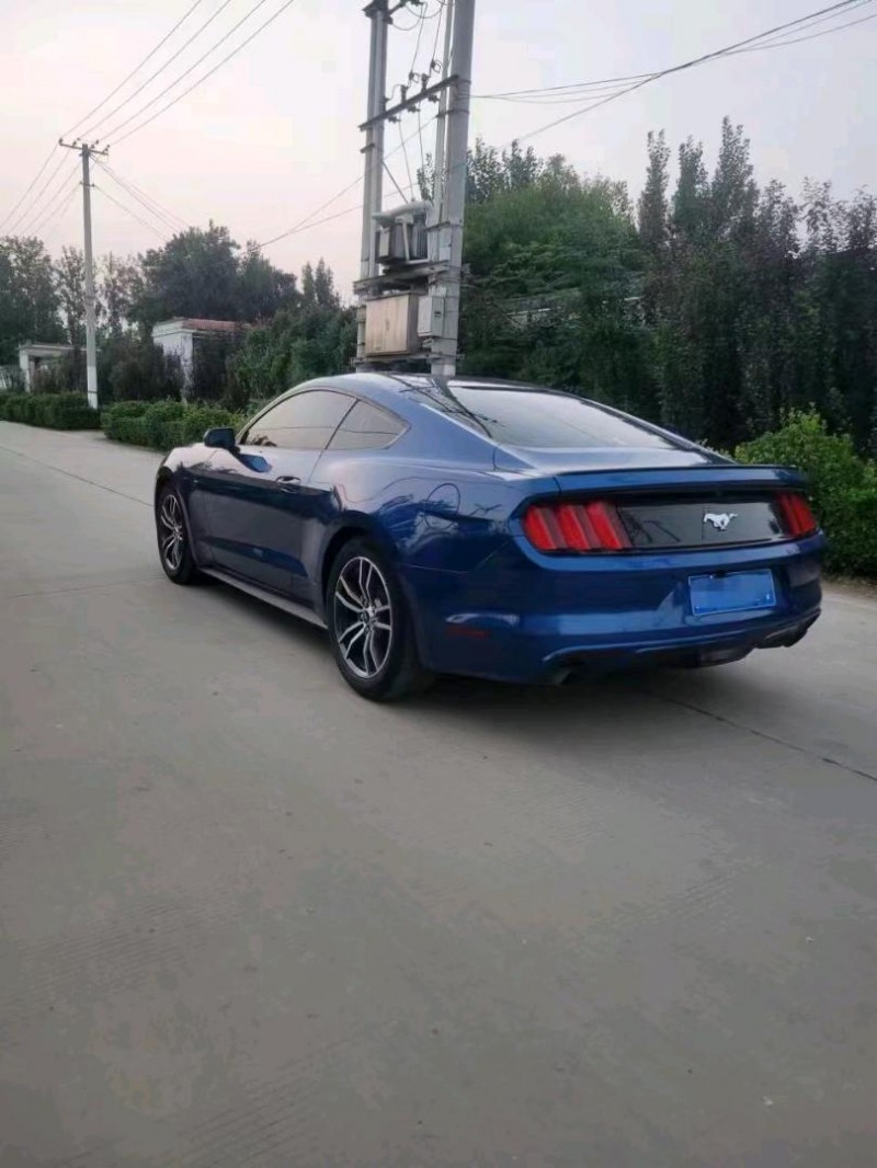 东营17年福特野马6