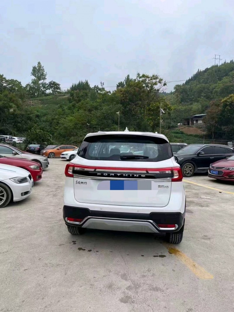 重庆22年东风T52