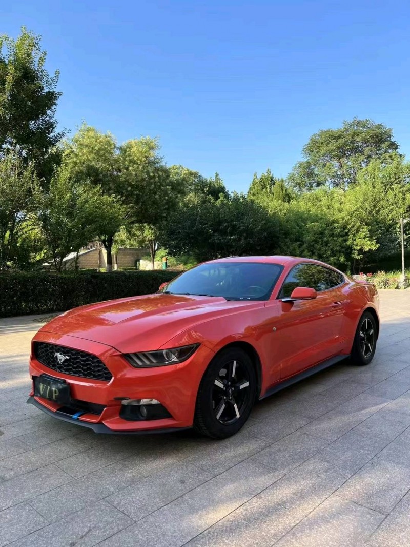 邢台16年福特野马8