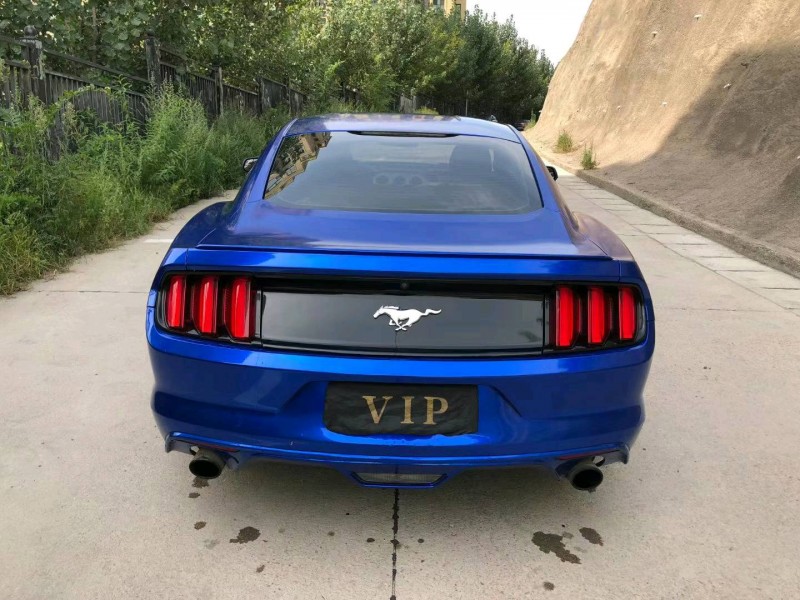 东营15年福特野马9