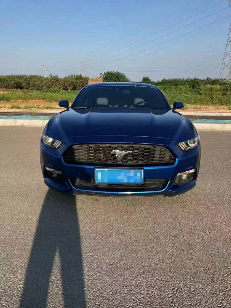 东营17年福特野马7