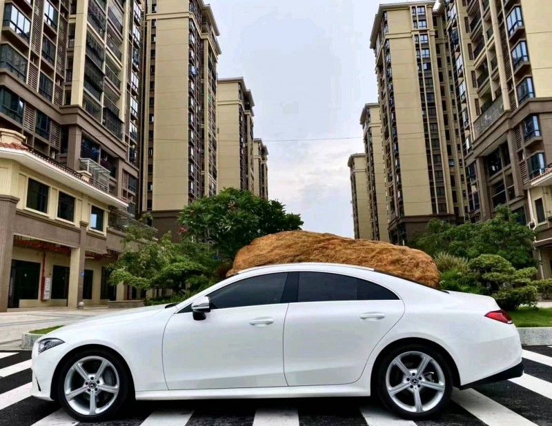 广州19年奔驰CLS4