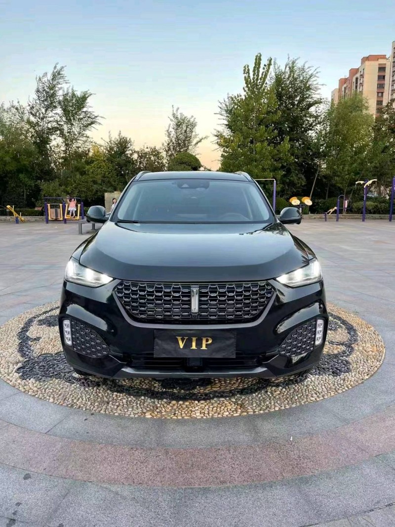 枣庄19年长城汽车WEY VV61