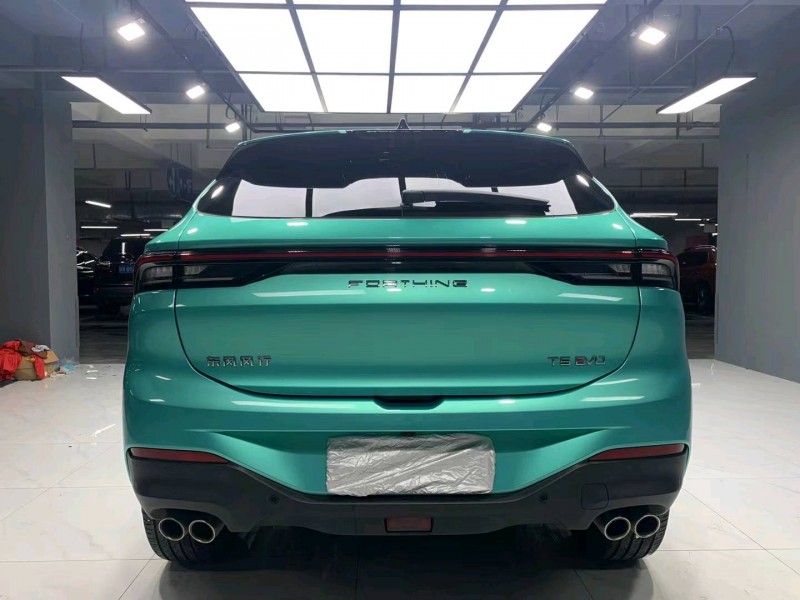 成都22年东风T58