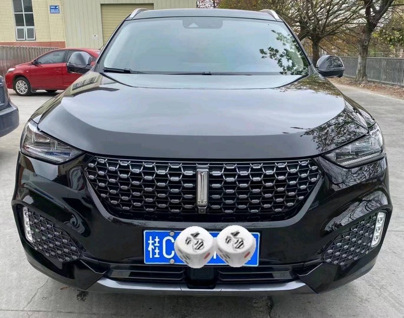 广州20年长城汽车WEY VV61