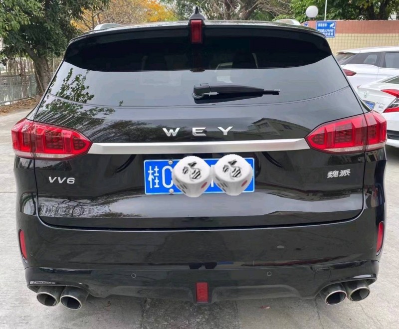 广州20年长城汽车WEY VV66