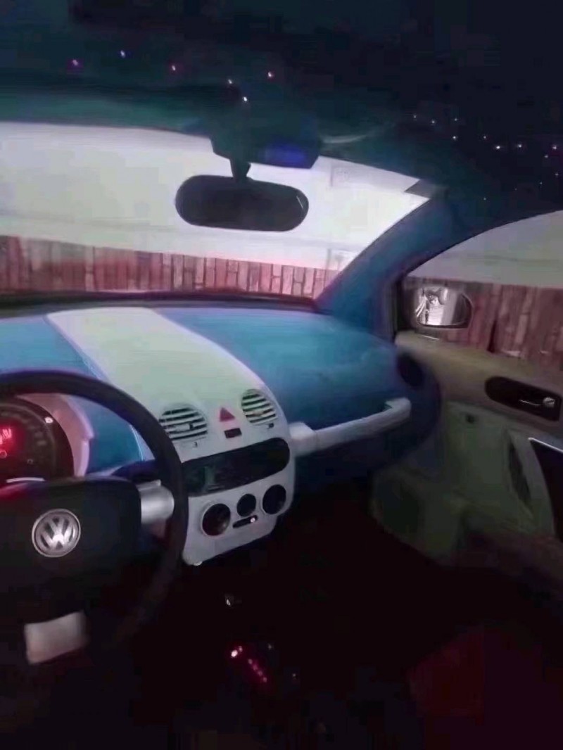 北京09年大众甲壳虫8