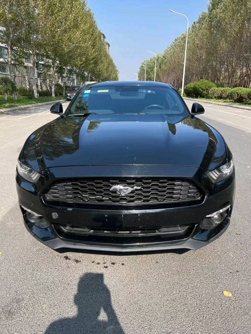 沈阳16年福特野马1