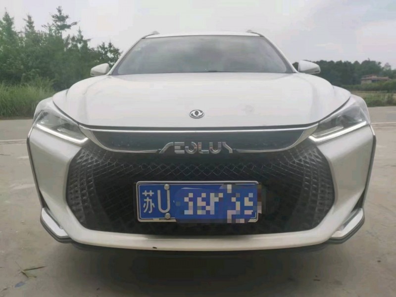 成都20年东风奕炫9