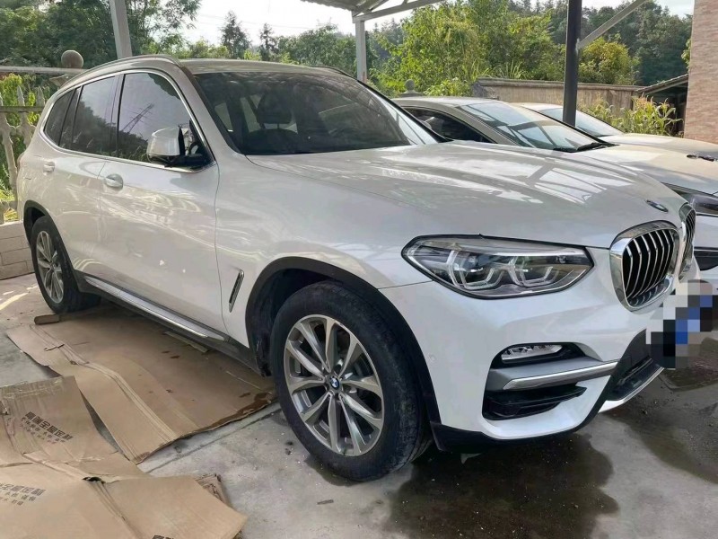 广州19年宝马X31