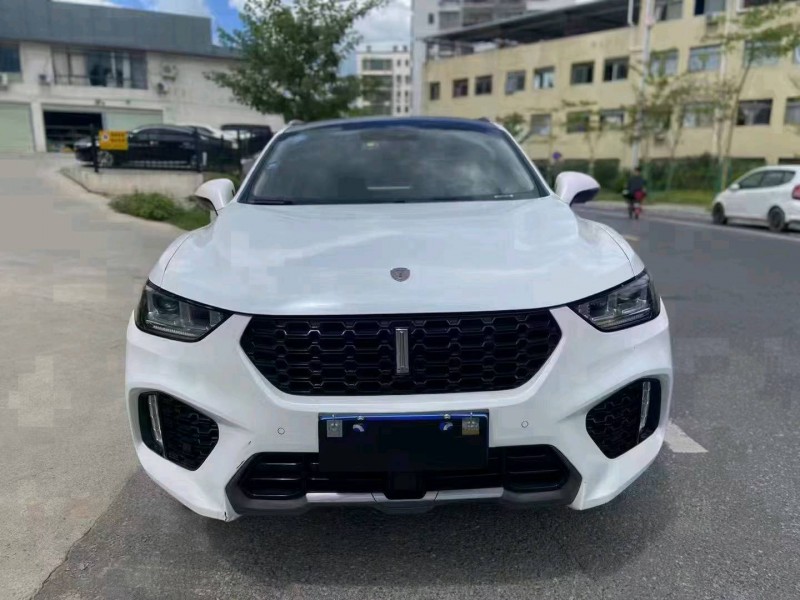 广州18年WEYVV51