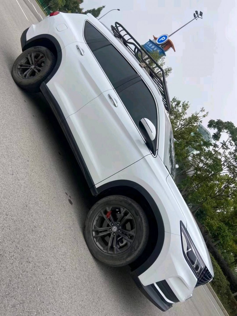 成都20年东风风光2