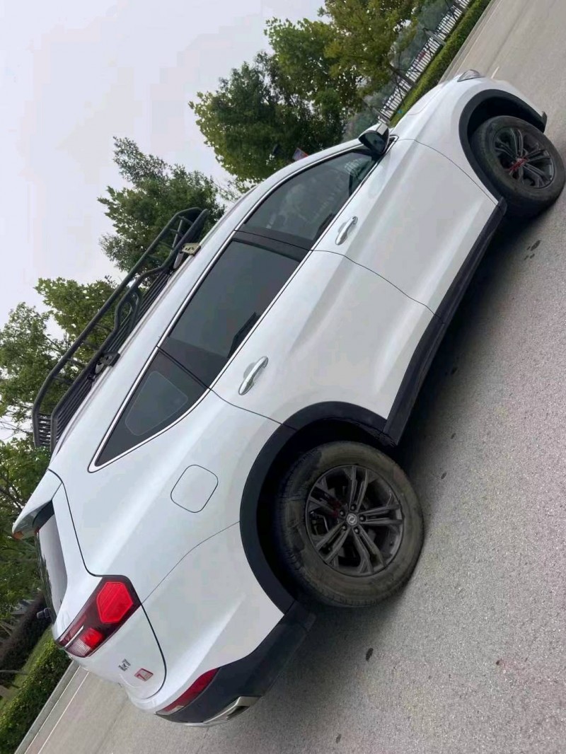 成都20年东风风光8