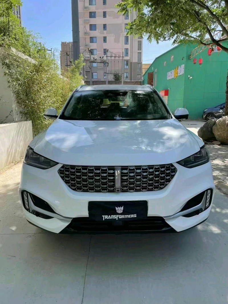 石家庄20年长城汽车WEY VV61