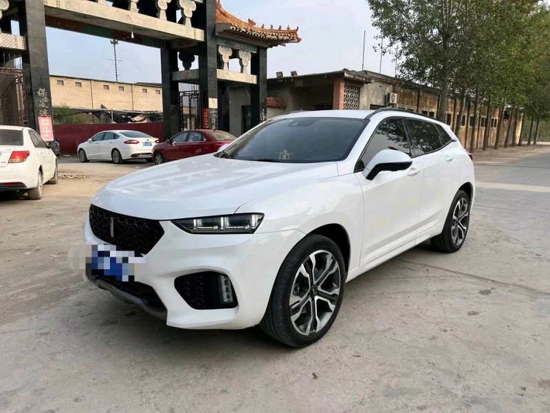 保定19年長城汽車WEY VV77