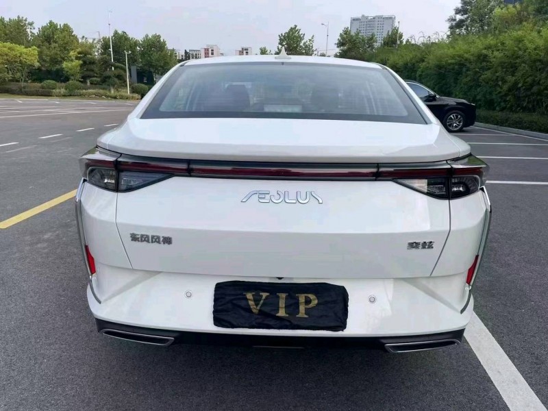 北京22年东风奕炫9