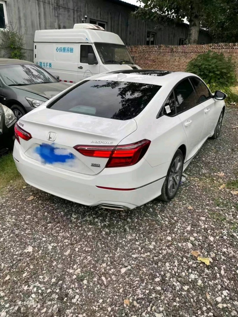 枣庄19年本田英诗派3