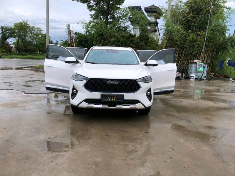 徐州19年哈弗F7x1