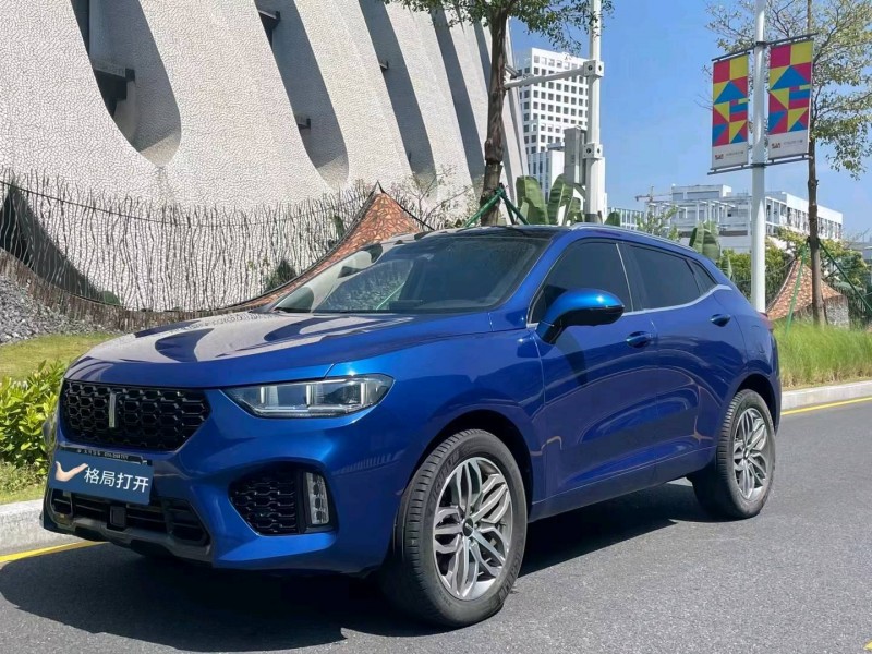 东莞19年长城汽车WEY VV53