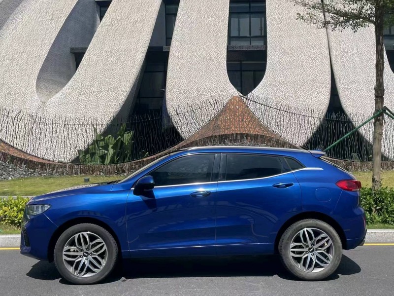 东莞19年长城汽车WEY VV58