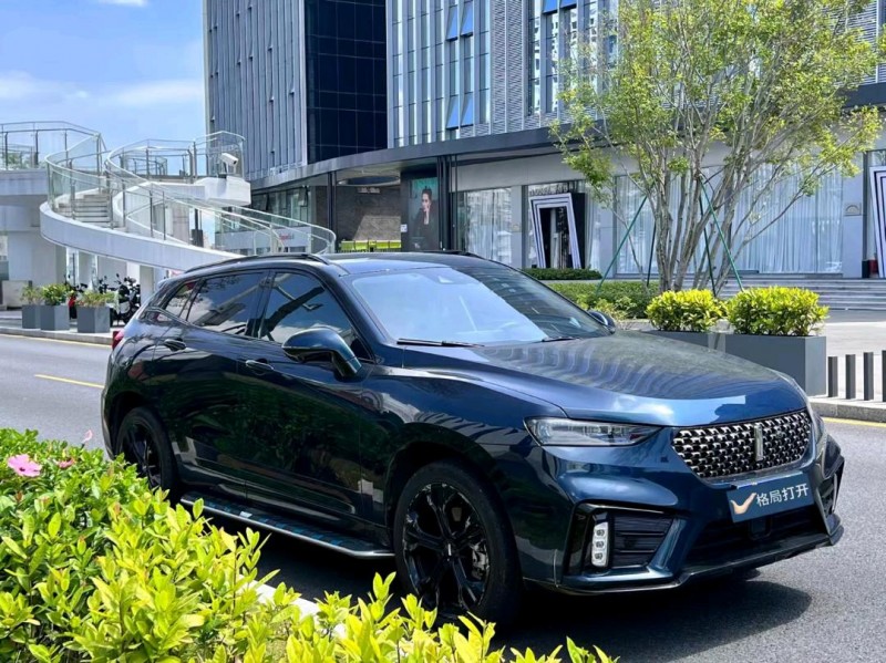 东莞20年长城汽车WEY VV72