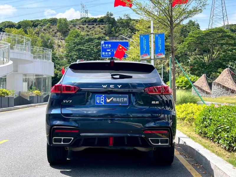 东莞20年长城汽车WEY VV79