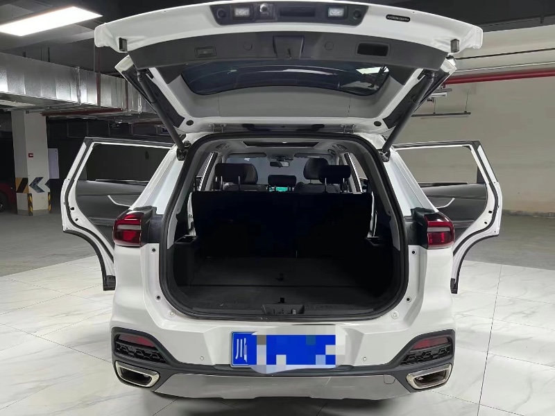 成都20年奇瑞瑞虎89