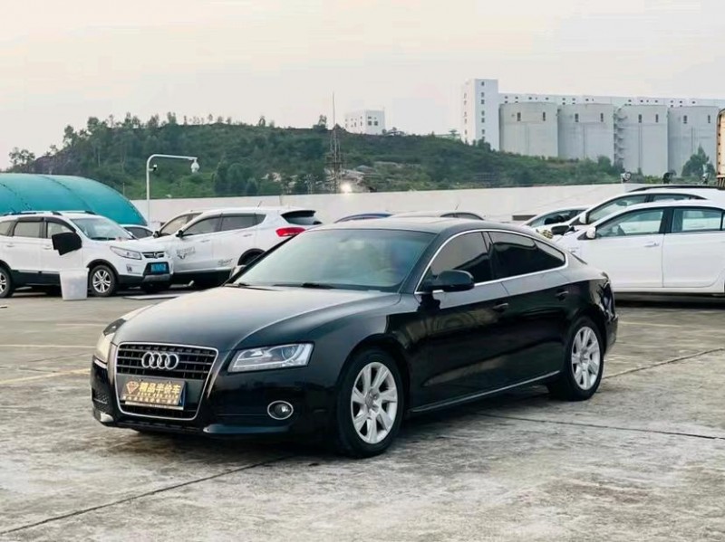 东莞11年奥迪A52