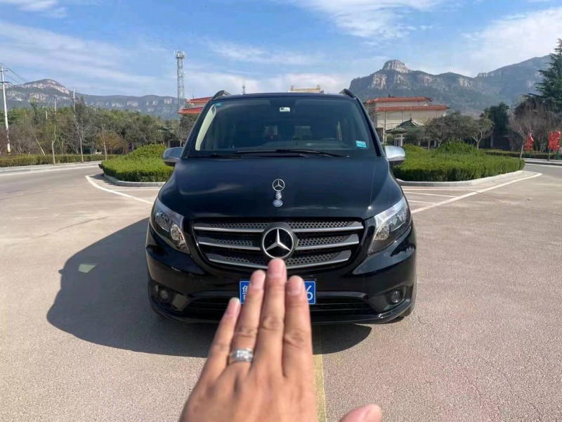 枣庄20年奔驰威霆9