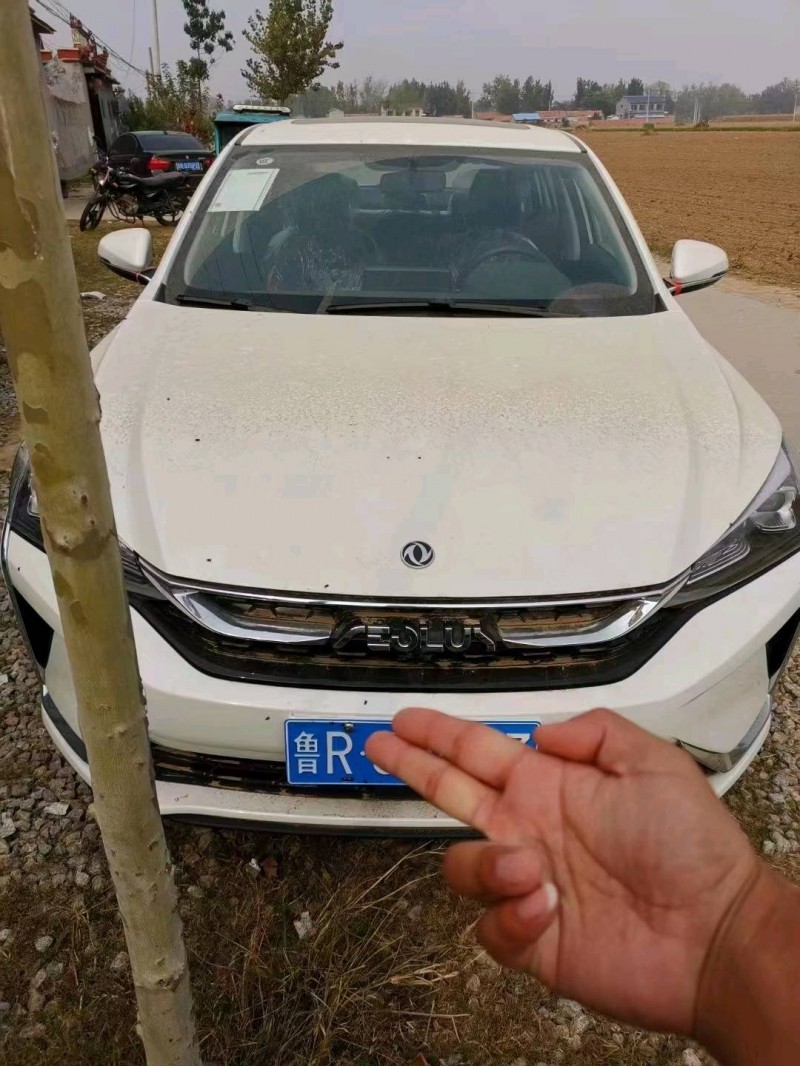 北京21年东风奕炫1