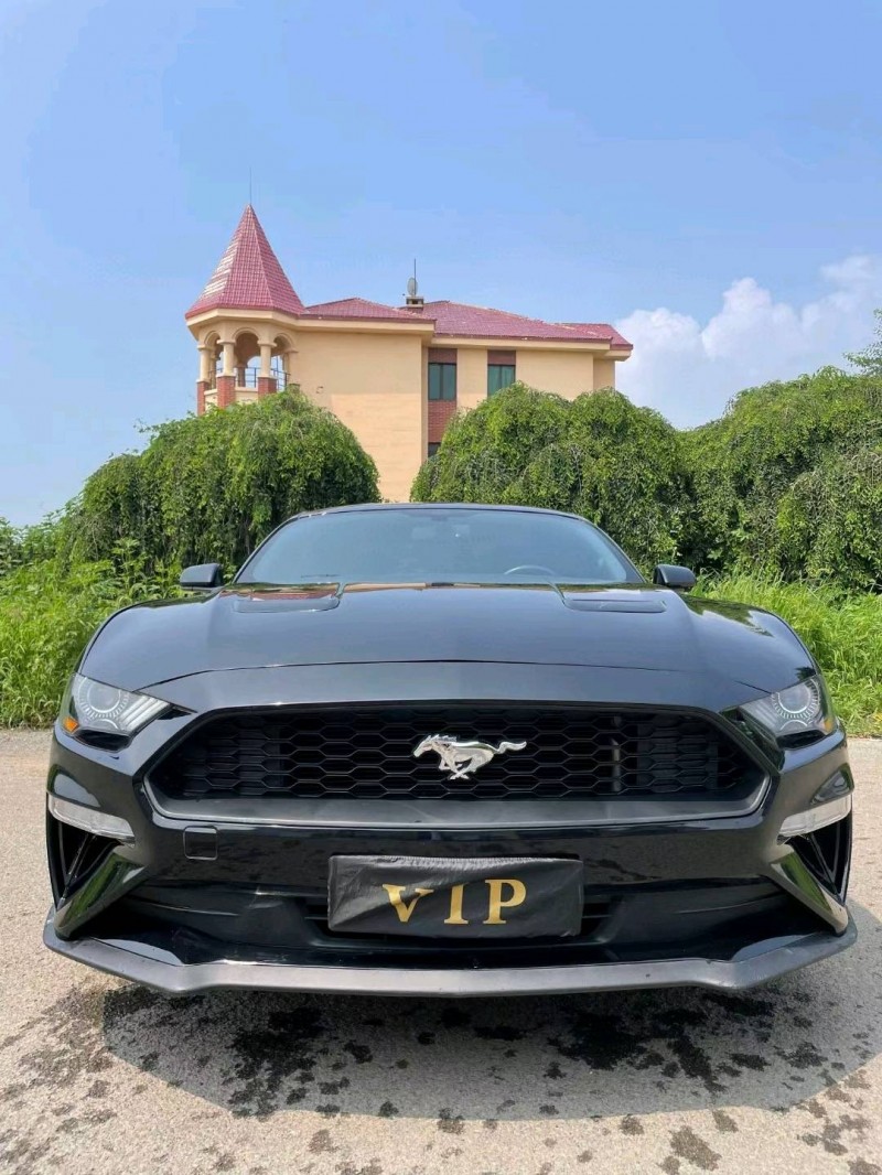 沈阳19年福特野马1