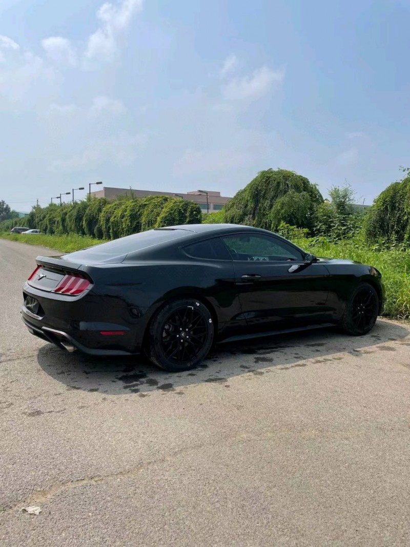 沈阳19年福特野马4