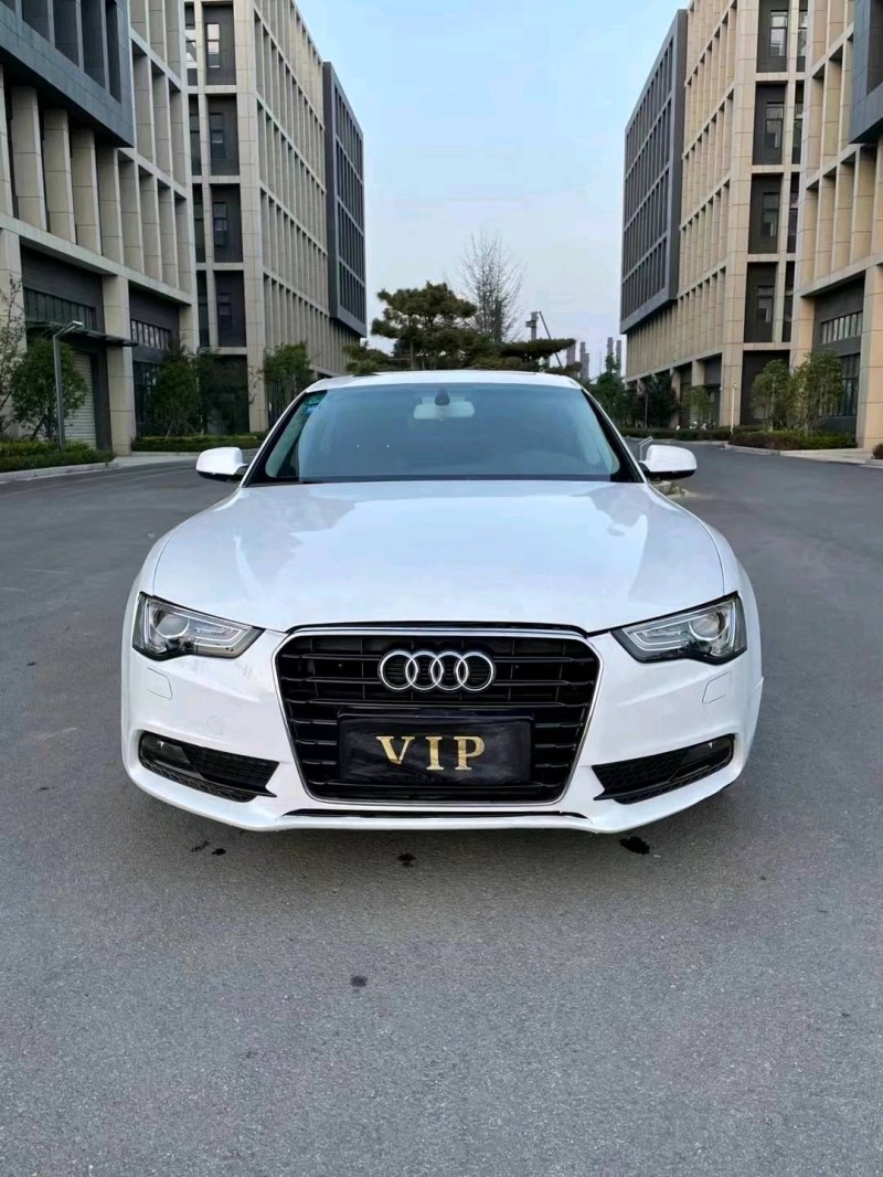 徐州14年奥迪A51