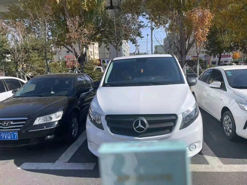 东营17年奔驰威霆9