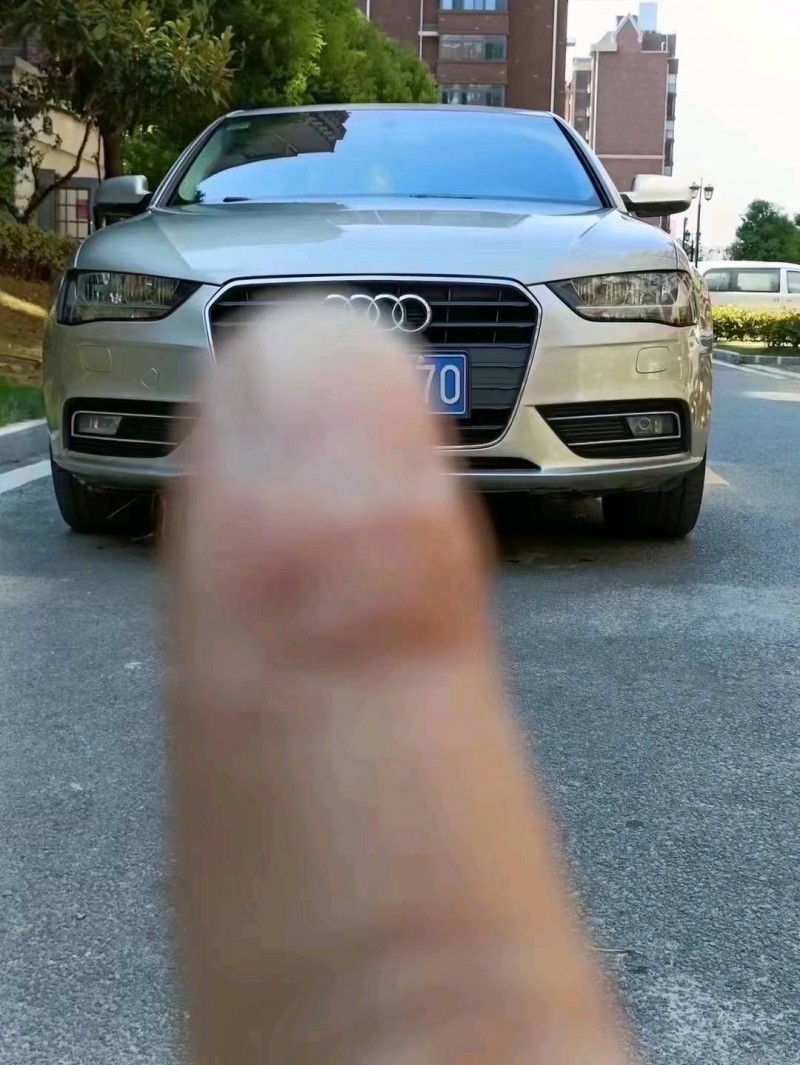 北京15年奥迪A4L8