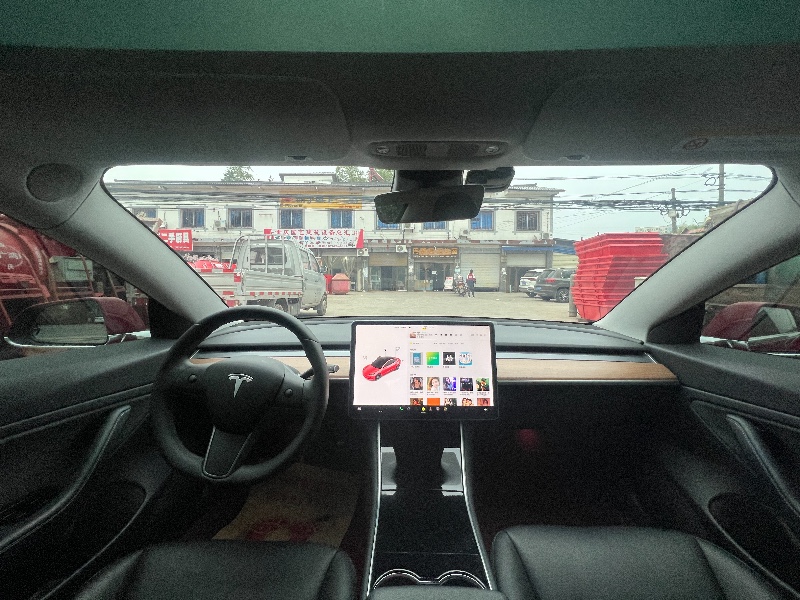 重慶20年特斯拉MODEL 31