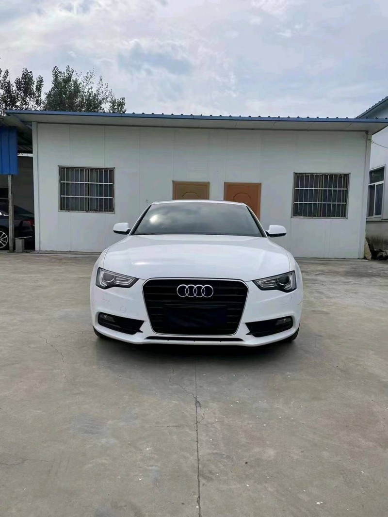 徐州14年奥迪A51