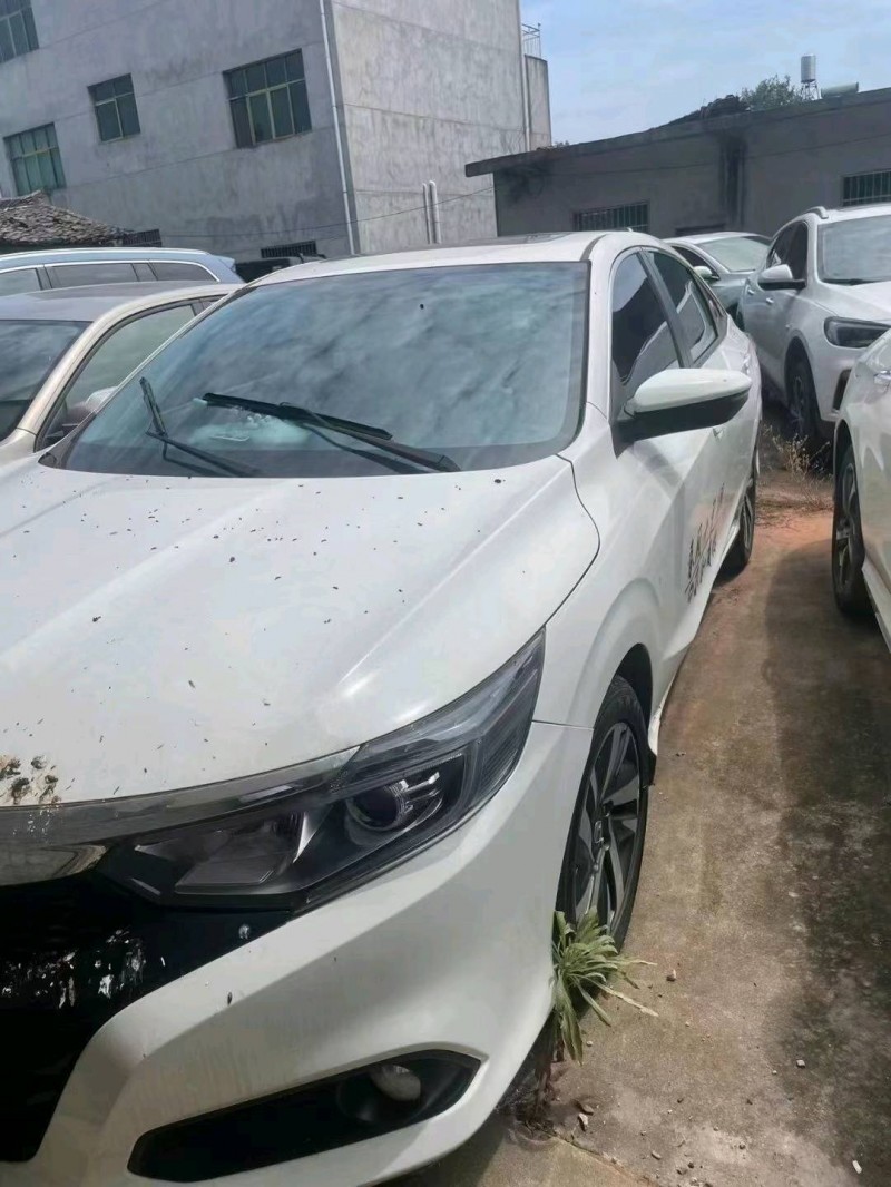 宜春20年本田凌派1