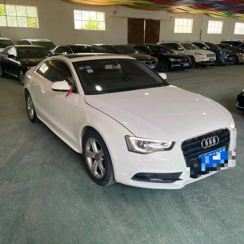 邯郸17年奥迪A52