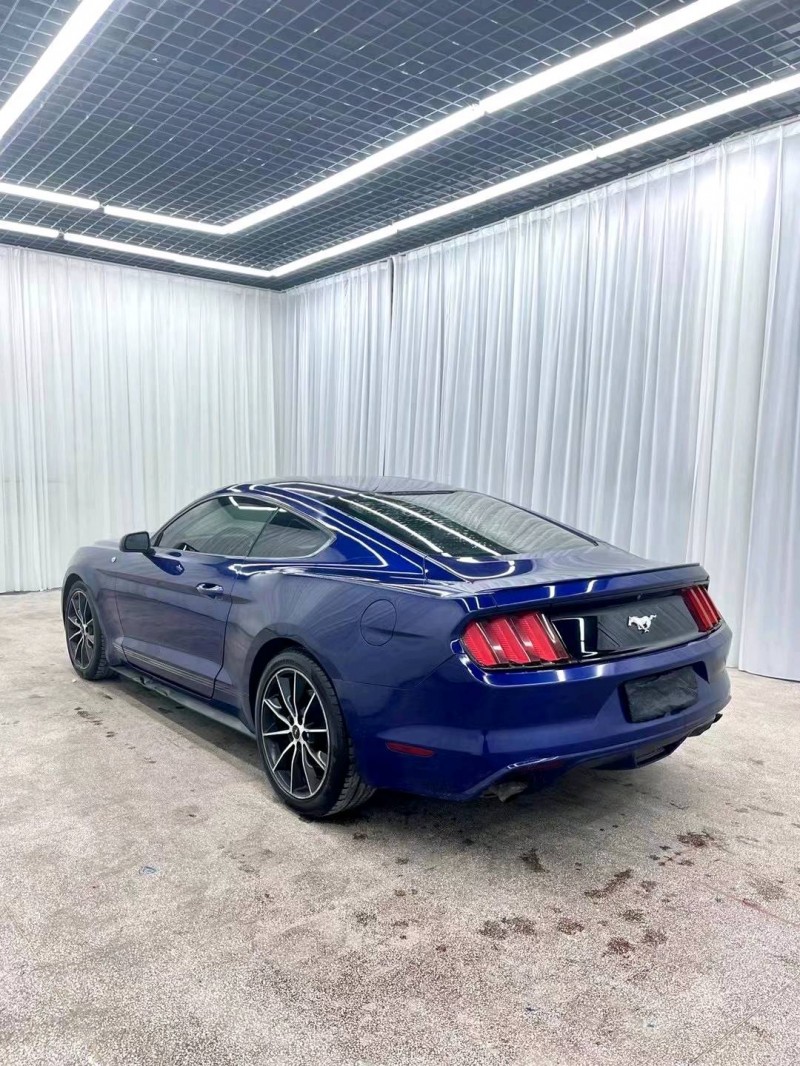 临沂15年福特野马9