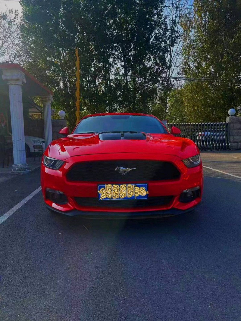 枣庄16年福特野马1