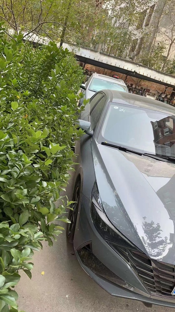 济宁22年现代伊兰特5