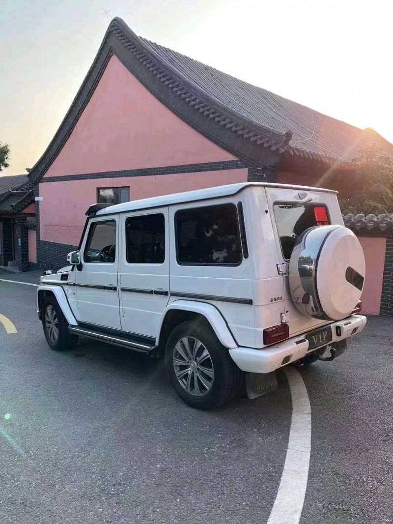 潍坊14年奔驰G10
