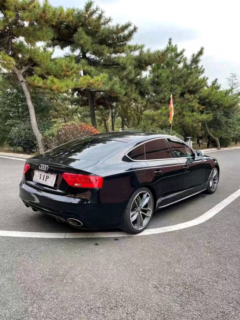 东营12年奥迪A51