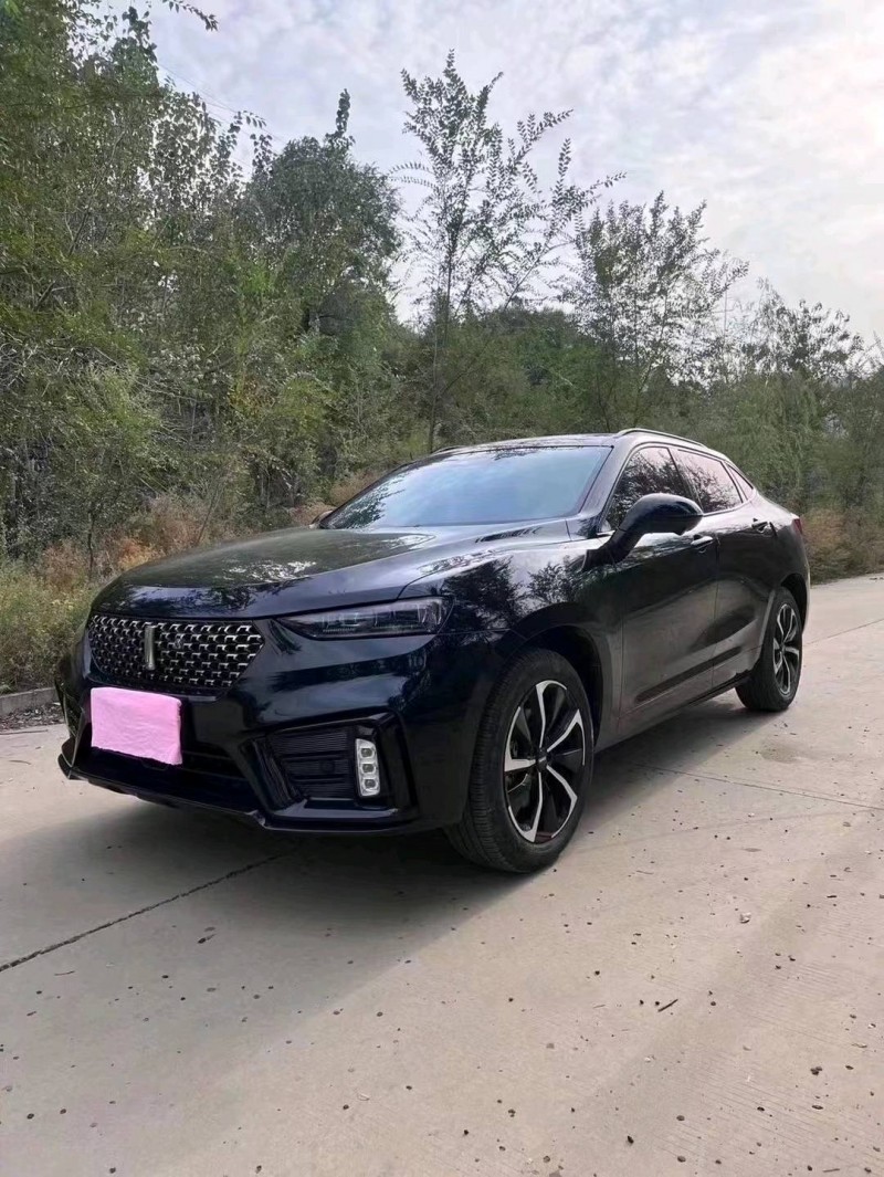 邯郸21年长城汽车WEY VV72