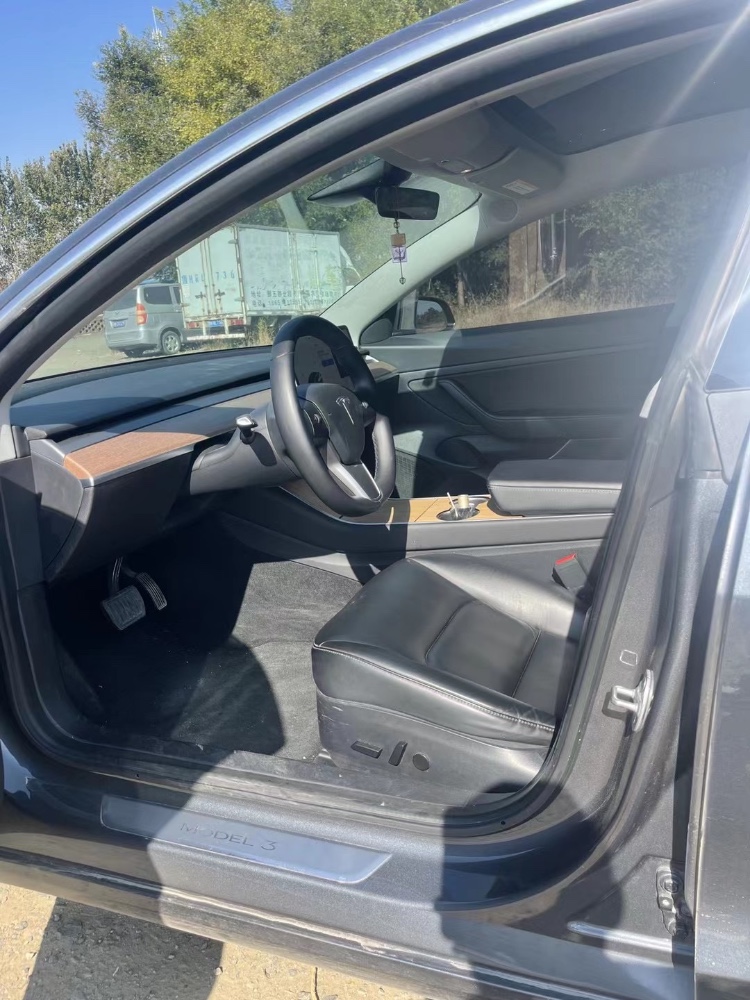 濱州20年特斯拉MODEL 37